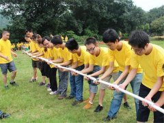 解锁团建新活力：企业拓展训练